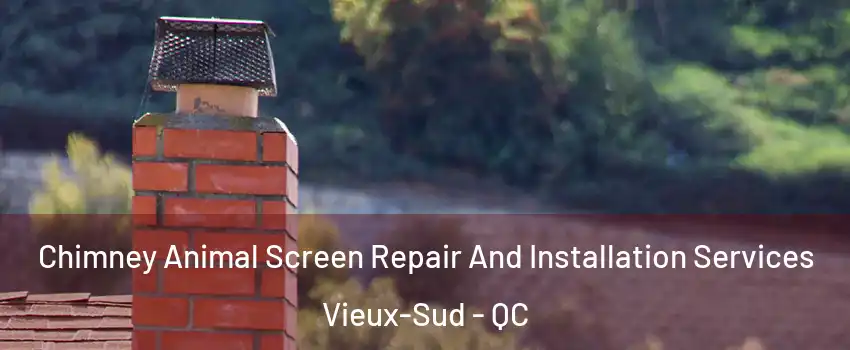 Chimney Animal Screen Repair And Installation Services Vieux-Sud - QC