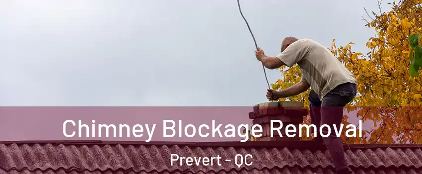 Chimney Blockage Removal Prevert - QC