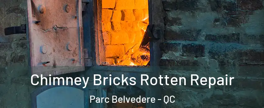 Chimney Bricks Rotten Repair Parc Belvedere - QC