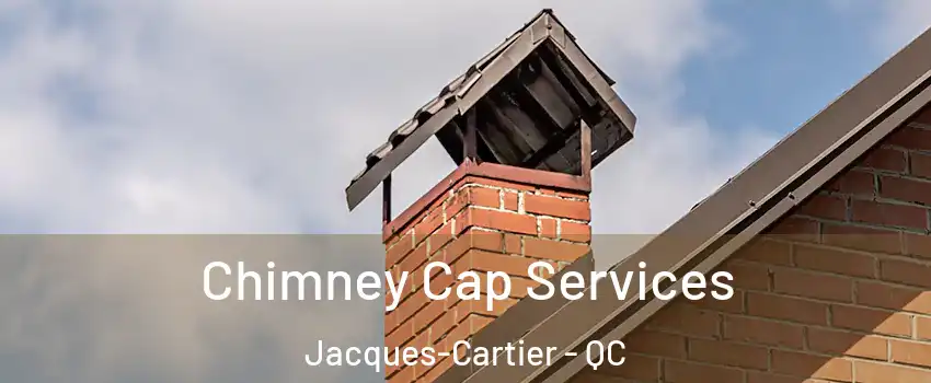 Chimney Cap Services Jacques-Cartier - QC