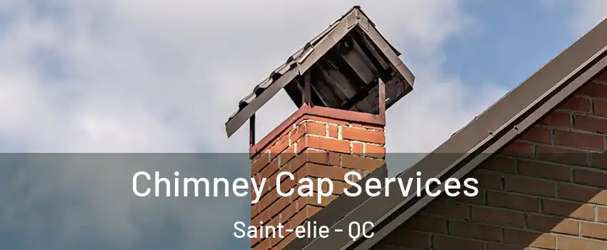 Chimney Cap Services Saint-elie - QC