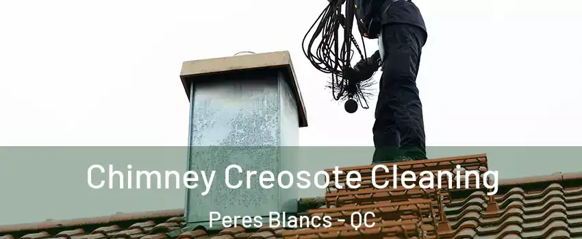 Chimney Creosote Cleaning Peres Blancs - QC