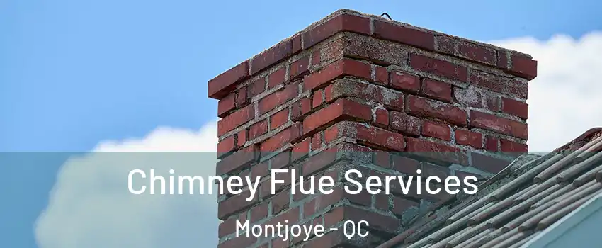 Chimney Flue Services Montjoye - QC