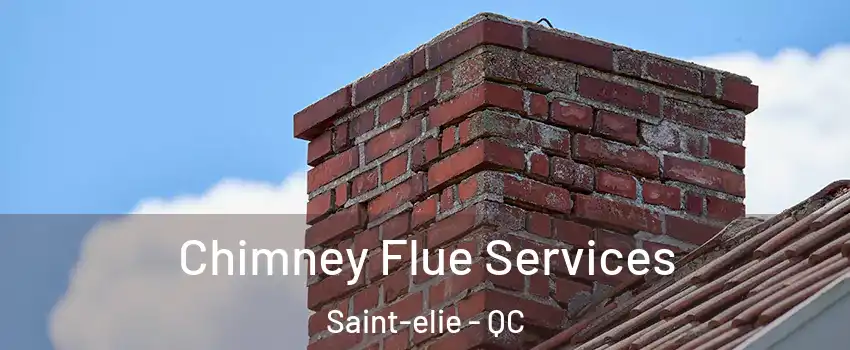 Chimney Flue Services Saint-elie - QC