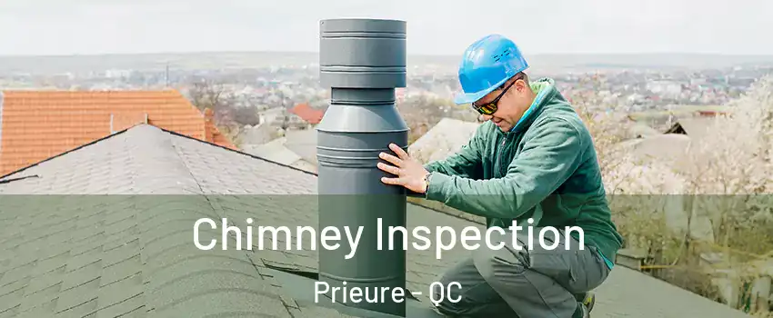 Chimney Inspection Prieure - QC