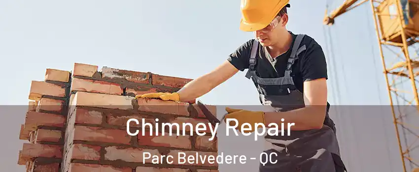 Chimney Repair Parc Belvedere - QC