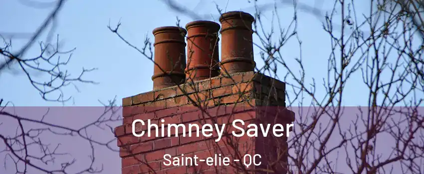 Chimney Saver Saint-elie - QC