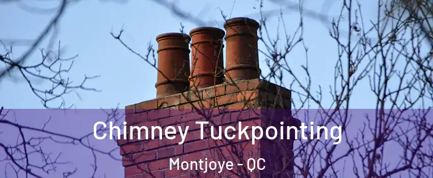 Chimney Tuckpointing Montjoye - QC