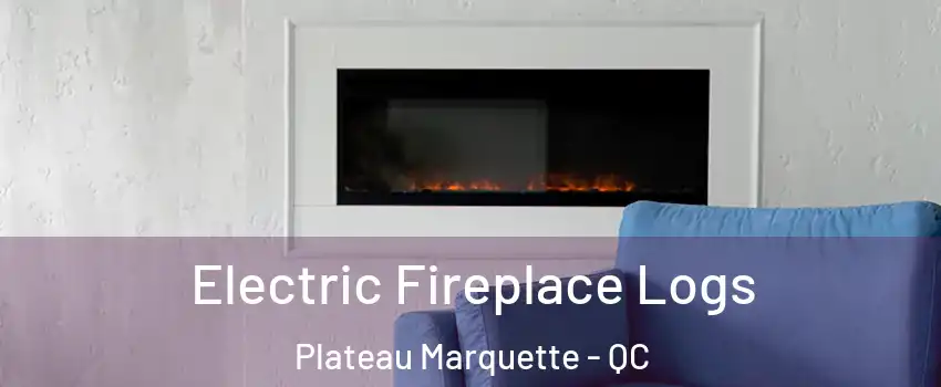 Electric Fireplace Logs Plateau Marquette - QC