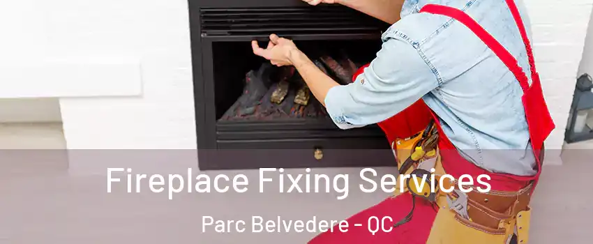 Fireplace Fixing Services Parc Belvedere - QC