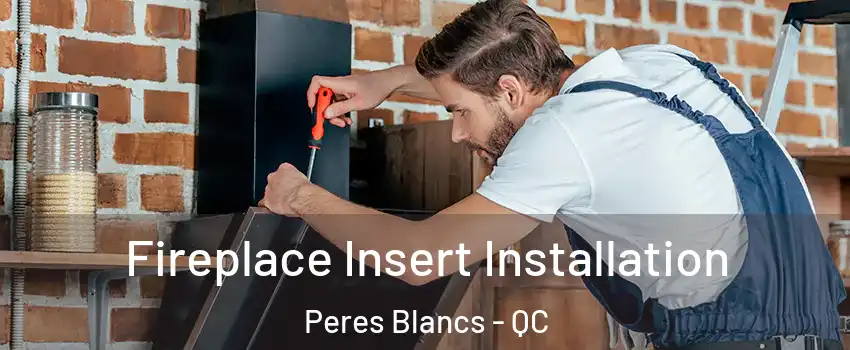 Fireplace Insert Installation Peres Blancs - QC