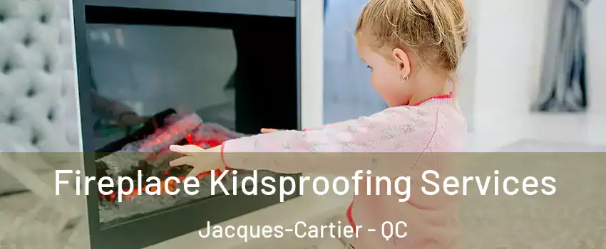 Fireplace Kidsproofing Services Jacques-Cartier - QC