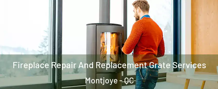 Fireplace Repair And Replacement Grate Services Montjoye - QC