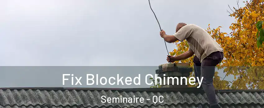 Fix Blocked Chimney Seminaire - QC