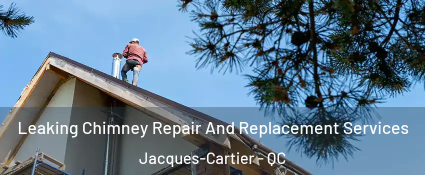 Leaking Chimney Repair And Replacement Services Jacques-Cartier - QC