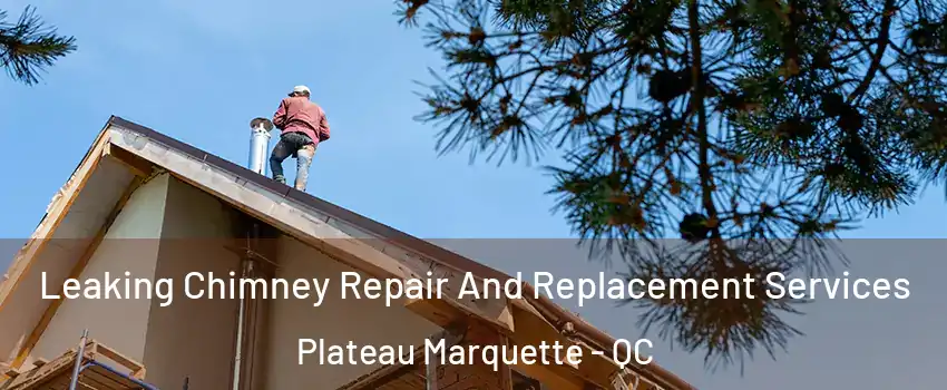 Leaking Chimney Repair And Replacement Services Plateau Marquette - QC